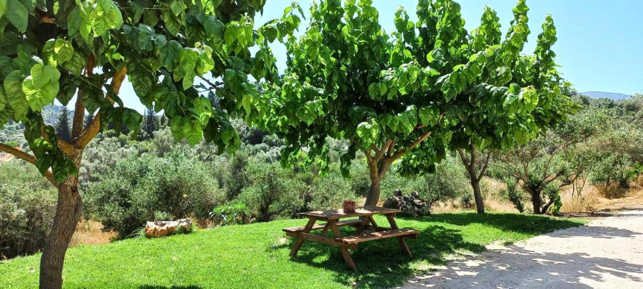 Lily Home_Lefkada ~ Private Country House Kondaraíni Eksteriør bilde
