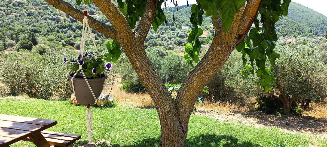 Lily Home_Lefkada ~ Private Country House Kondaraíni Eksteriør bilde