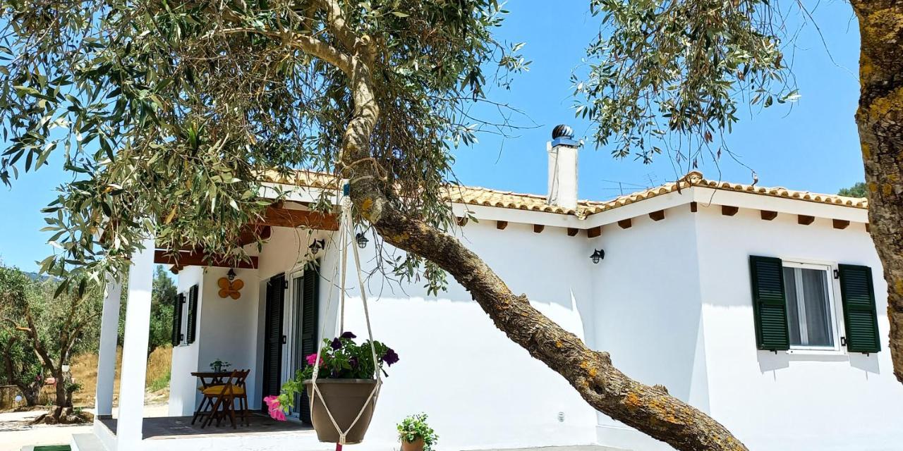 Lily Home_Lefkada ~ Private Country House Kondaraíni Eksteriør bilde