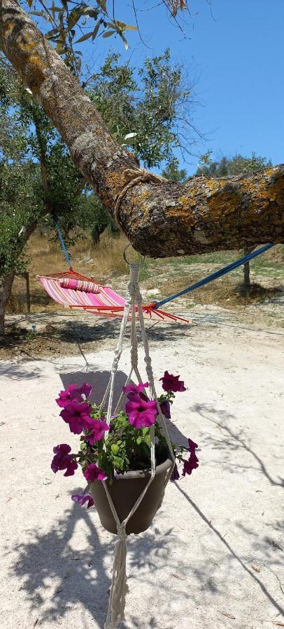 Lily Home_Lefkada ~ Private Country House Kondaraíni Eksteriør bilde