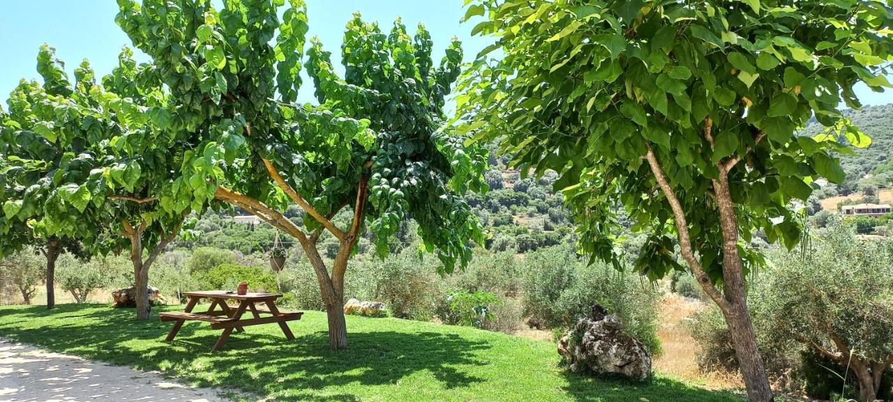 Lily Home_Lefkada ~ Private Country House Kondaraíni Eksteriør bilde