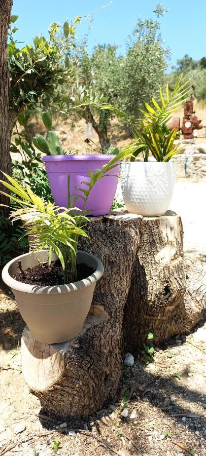 Lily Home_Lefkada ~ Private Country House Kondaraíni Eksteriør bilde