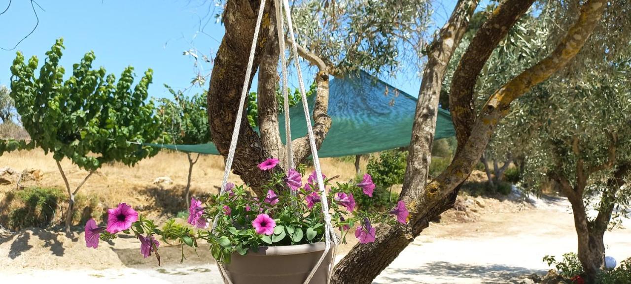 Lily Home_Lefkada ~ Private Country House Kondaraíni Eksteriør bilde