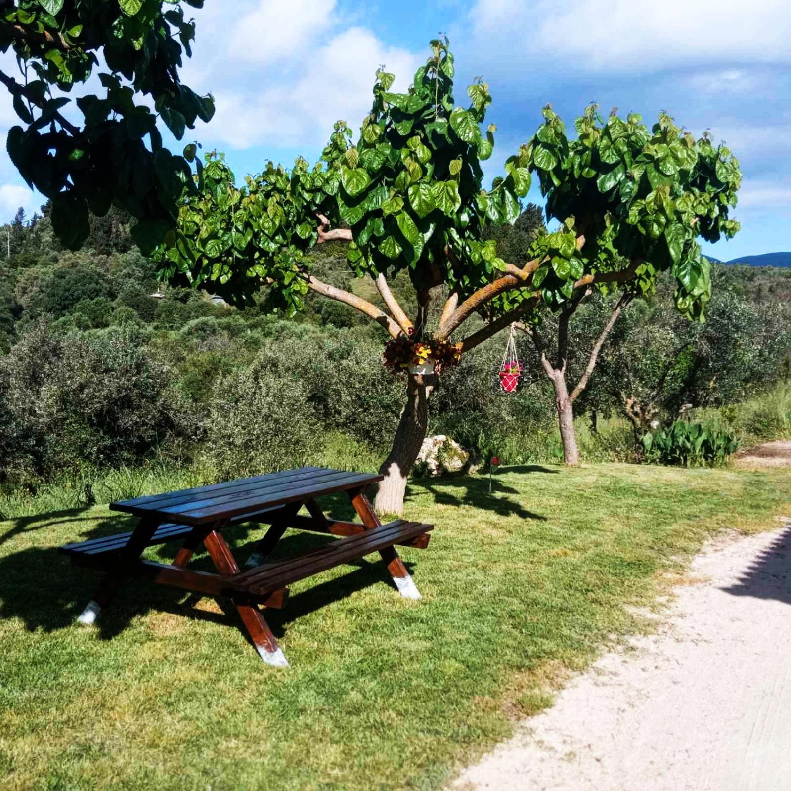 Lily Home_Lefkada ~ Private Country House Kondaraíni Eksteriør bilde