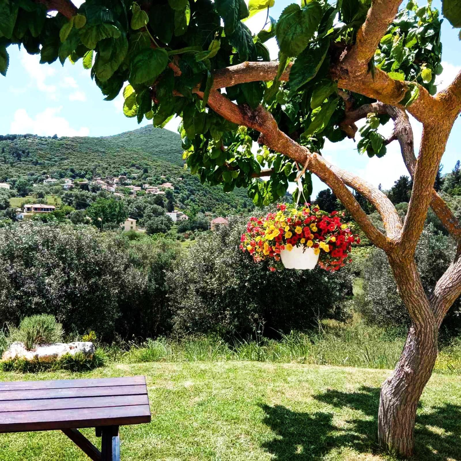Lily Home_Lefkada ~ Private Country House Kondaraíni Eksteriør bilde